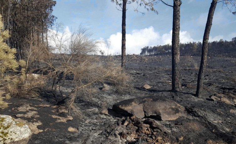 Las estimaciones de la ola de incendios se quedaron cortas, arrasó casi 50.000 hectáreas