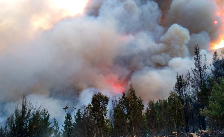 (VÍDEOS) Estabilizados los incendios de A Gudiña, Quiroga y Chandrexa: cerca de 700 hectáreas quemadas