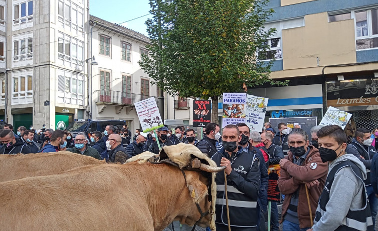 Un millar de ganaderos, 200 tractores y un puñado de vacas paralizan Lugo en las protestas contra la PAC