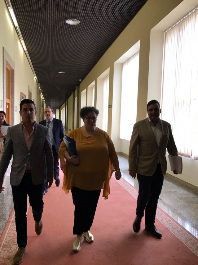 La valedora do Pobo, Milagros Otero, a su llegada en el Parlamento