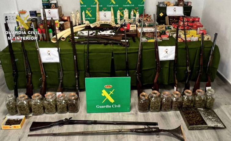 'Operación Sayal': casi 3 kg de marihuana, 339 armas de fuego, marfil, 12 arrestos, registros en Lugo y Pontevedra...