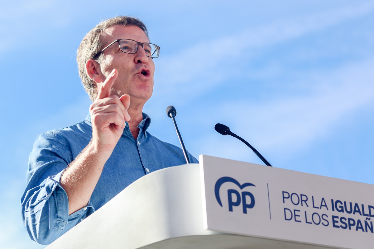 El presidente del Partido Popular, Alberto Núñez Feijóo, interviene durante una manifestación convocada por el PP, a 28 de enero de 2024, en Madrid (España). El PP se ha movilizado hoy para opone