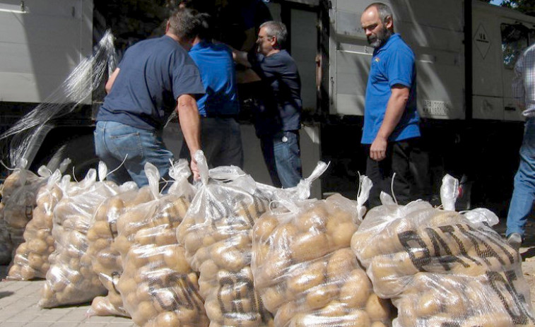 ​Comienza la retirada de patata en cuatro concellos afectados por la plaga